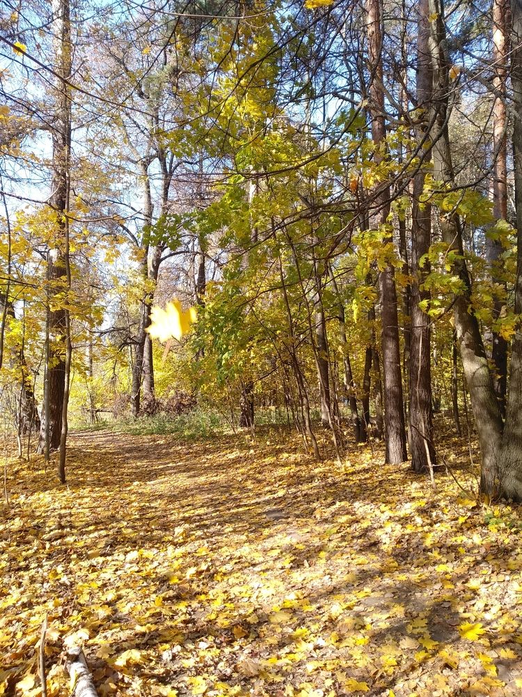 Photograph by Ольга Сафронова