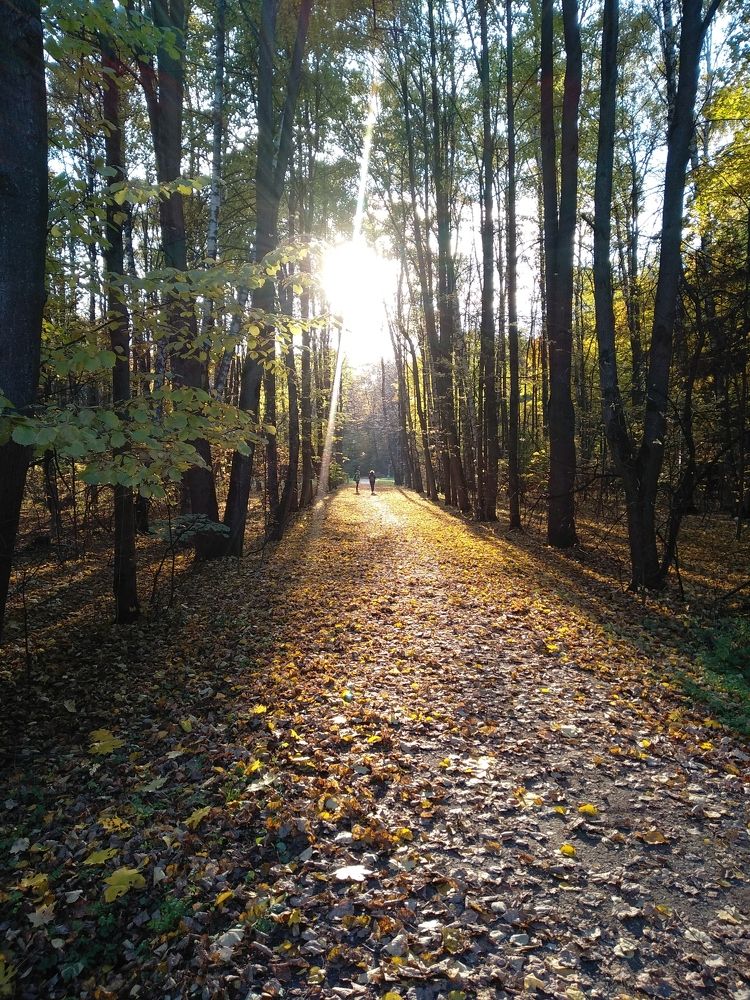 Photograph by Ольга Сафронова