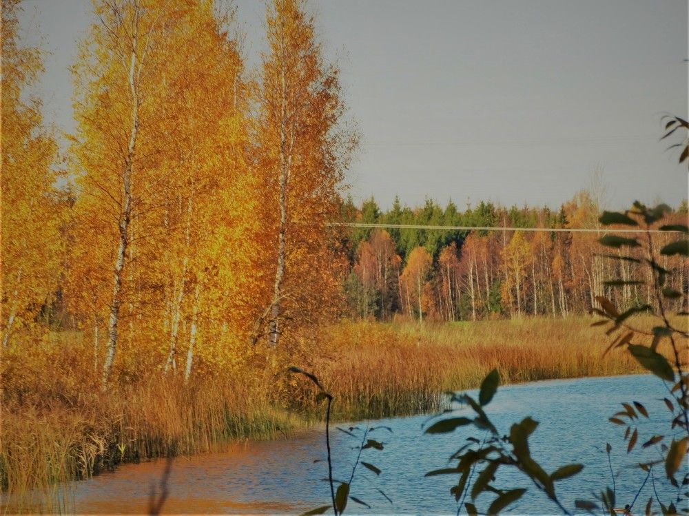 Photograph by Илона Отруцкая