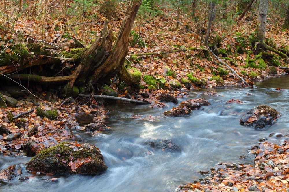 Река Катайка в октябре.