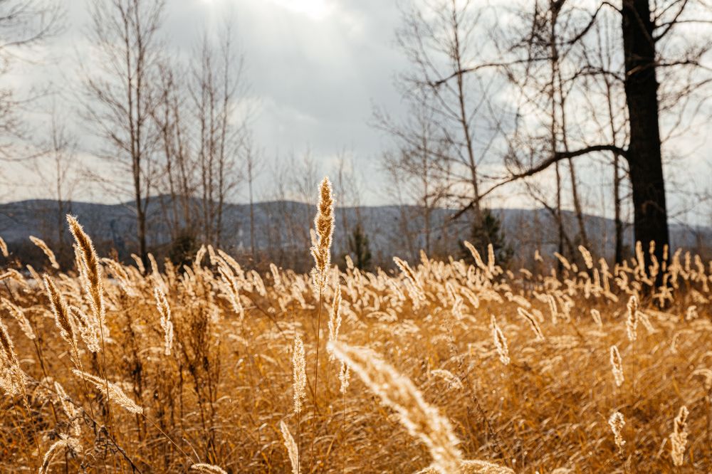 Photograph by Оксана Корчагина