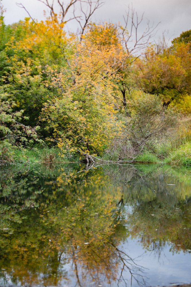 Photograph by Ольга Симакова