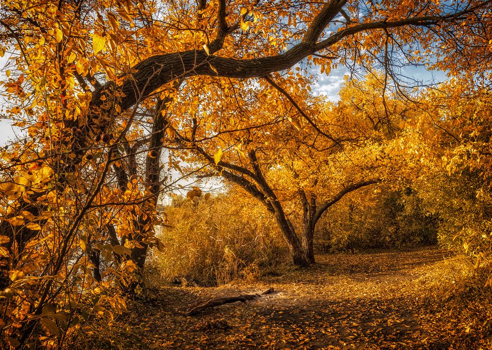 Photograph by Игорь Мелекесцев