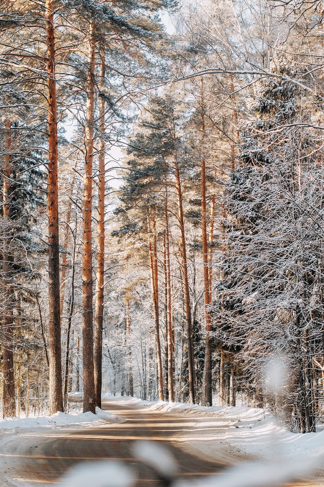 Photograph by Татьяна