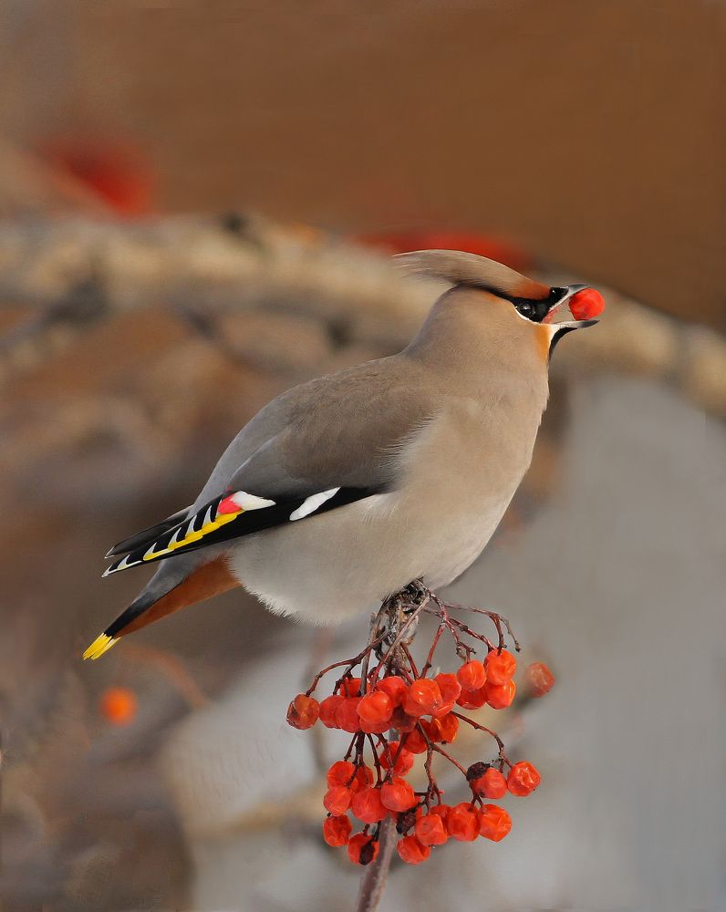 Photograph by Светлана Медведева