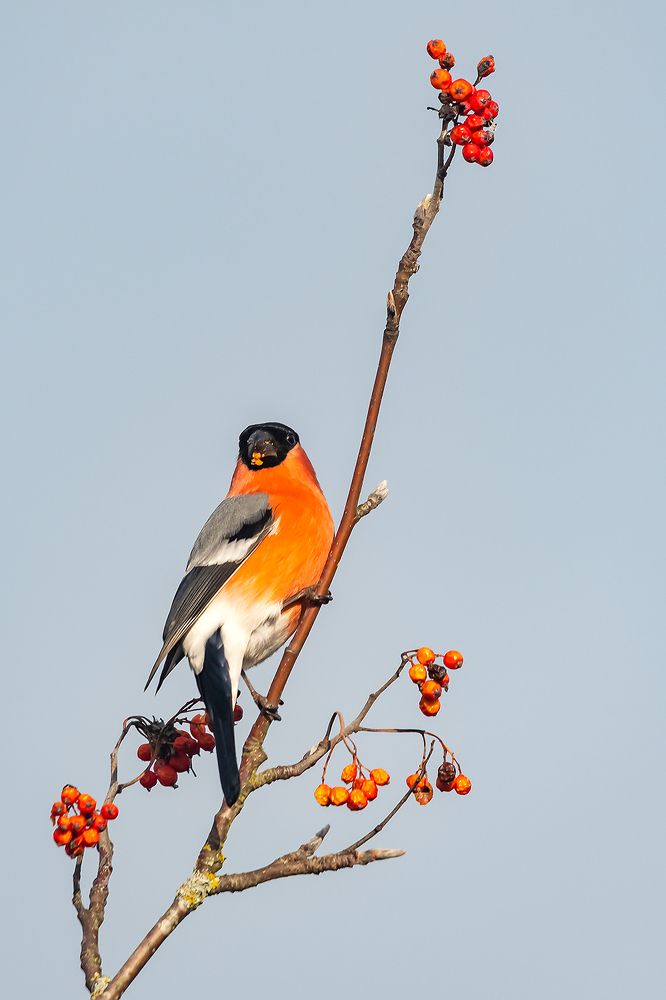 Photograph by Александр Абросимов