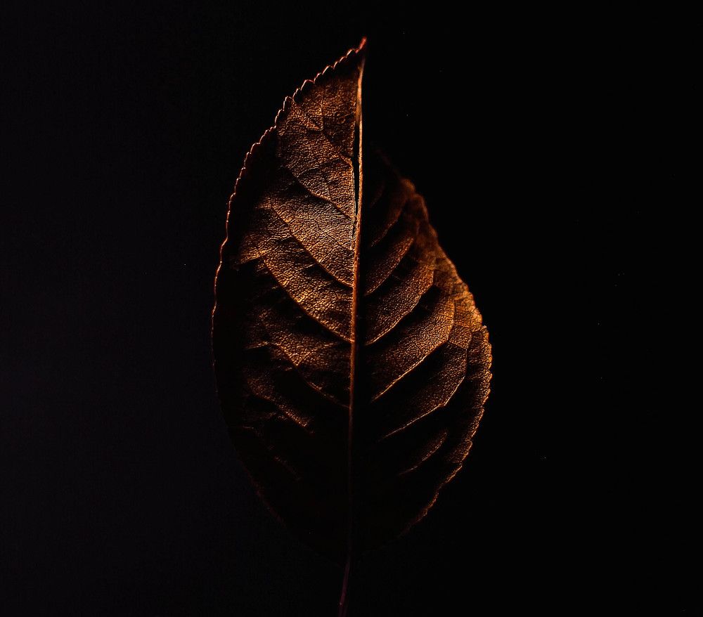 Photograph by Александр Ниткин