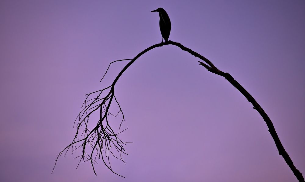 Настроения