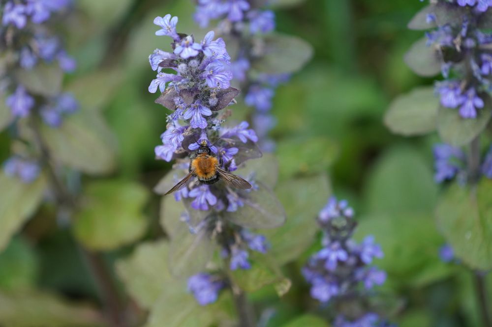 Фотография автора Владимир Хащанский