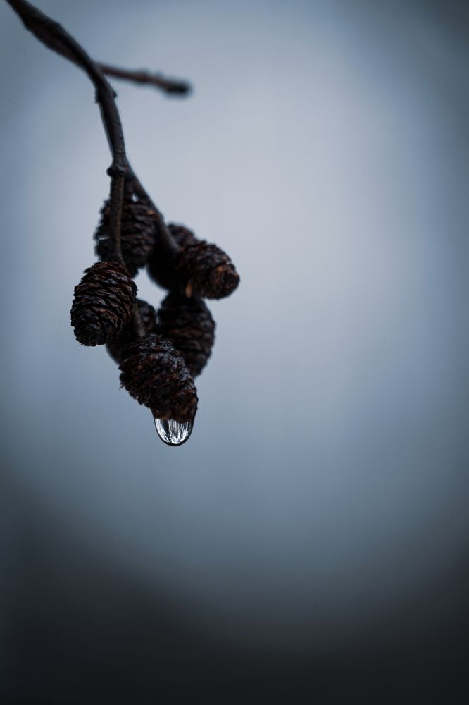 Фотография автора Владимир Хащанский