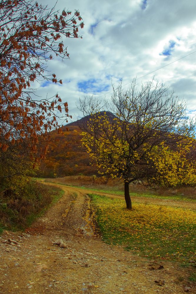 Photograph by Ефимова Анна