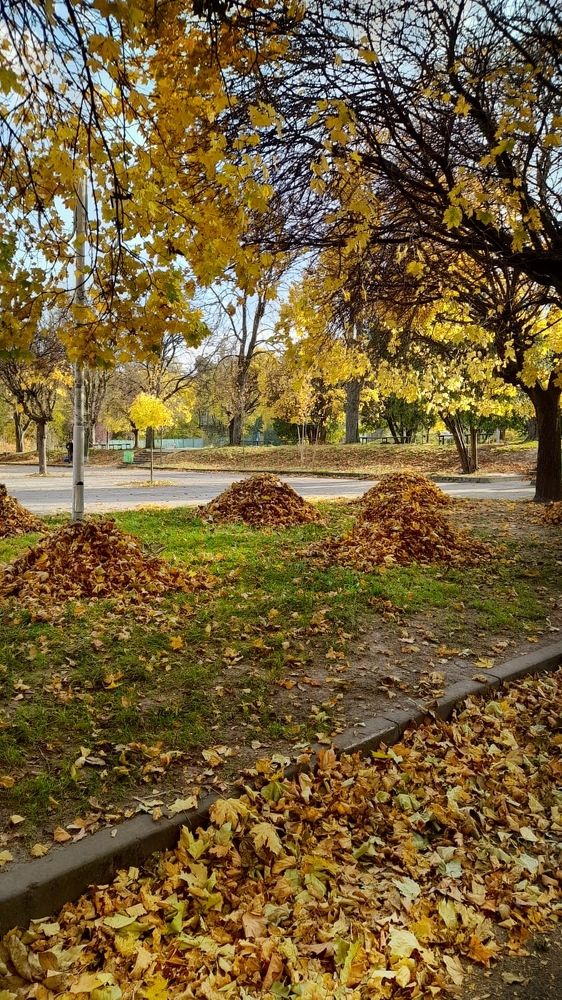 Photograph by Наталя Мартинчик