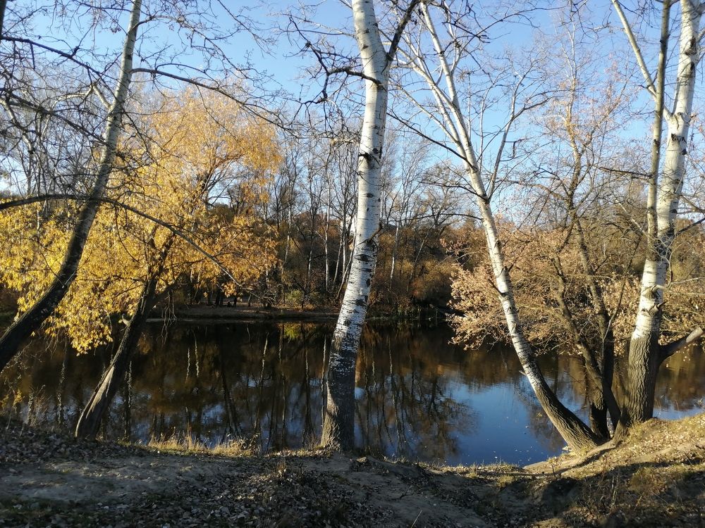 Фотография автора Алла Роденко