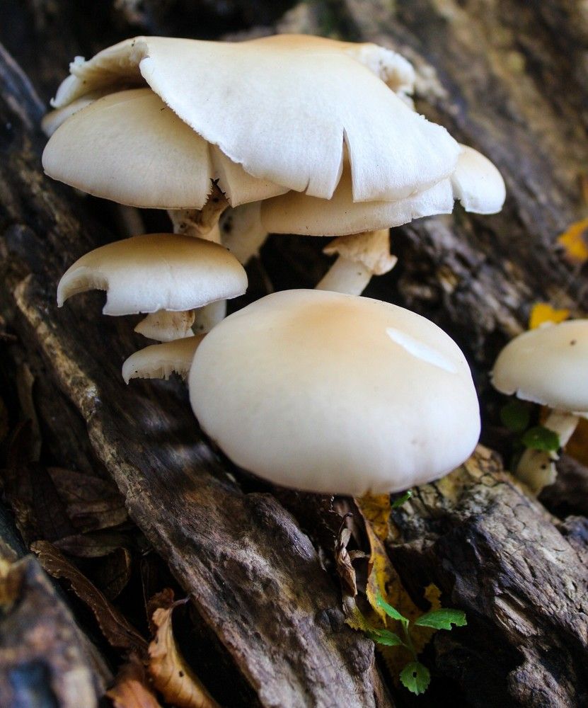 Photograph by farzad talanavard