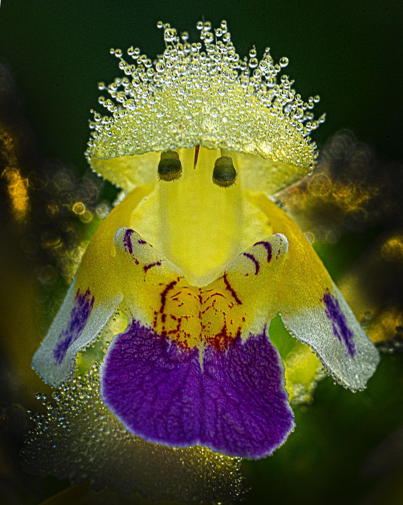 Photograph by Егошин Егошин