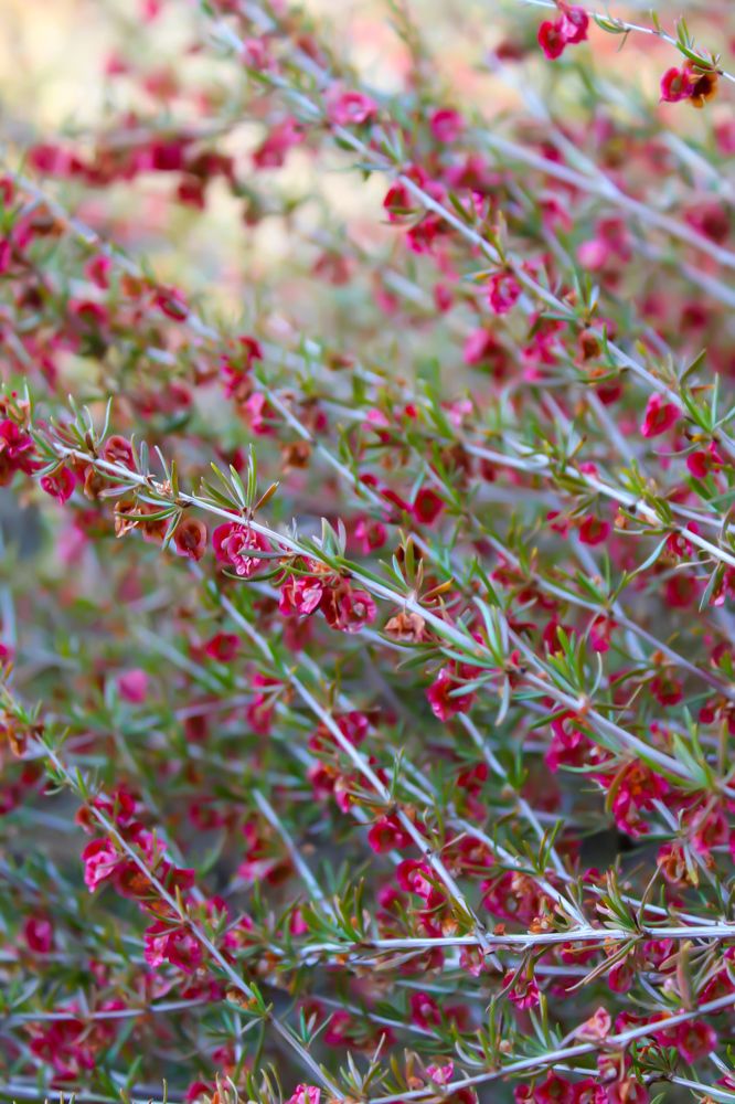 Photograph by farzad talanavard