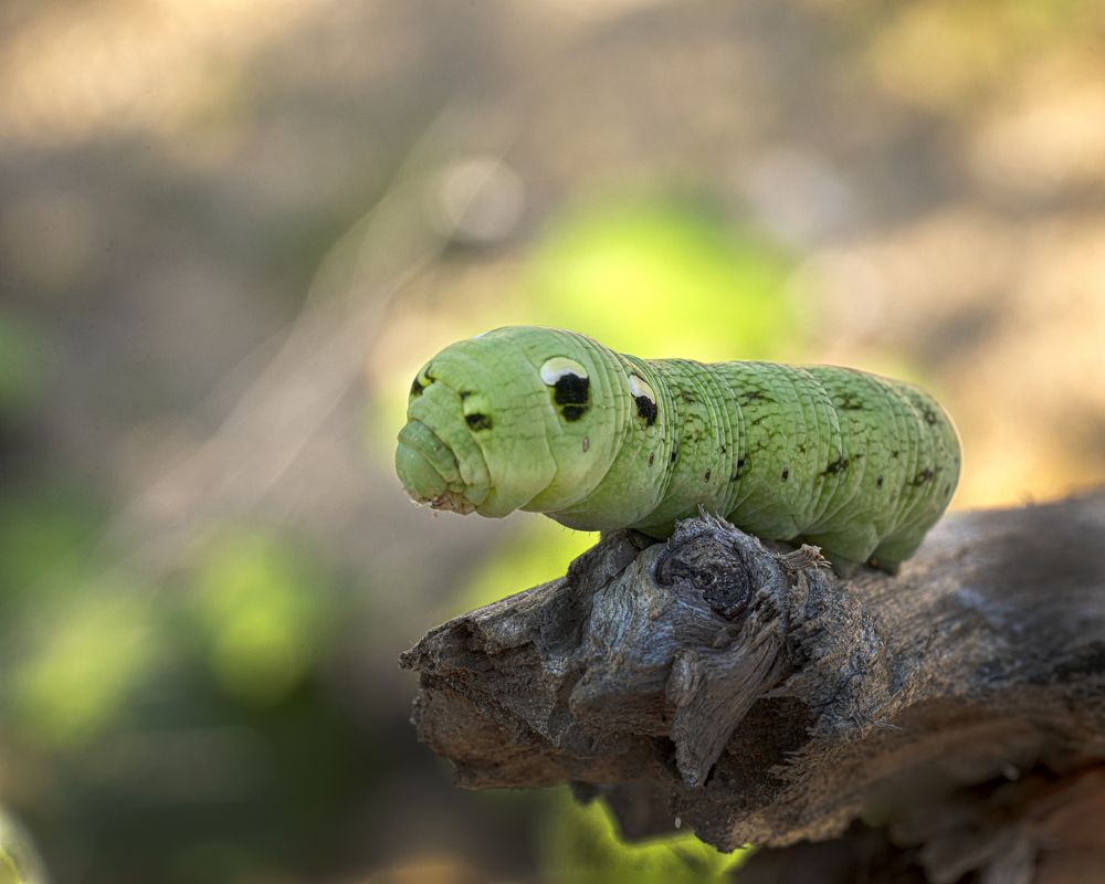 Photograph by Егошин Егошин