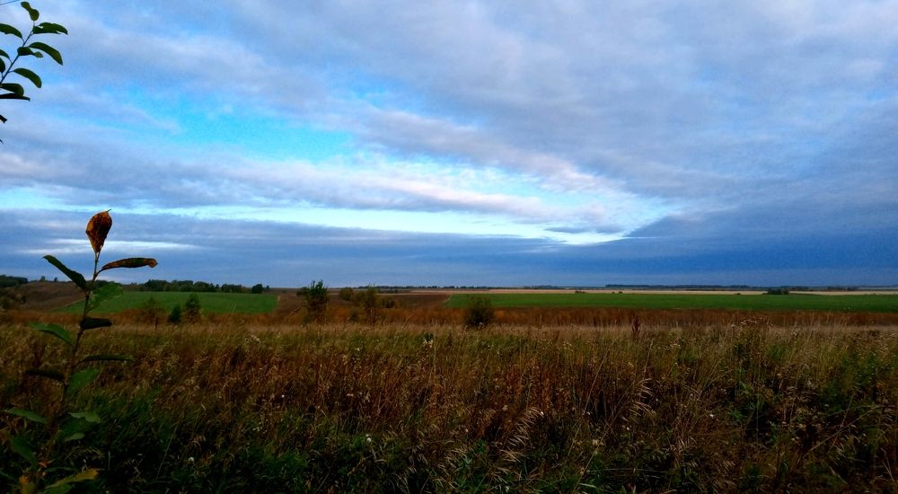 Photograph by Сергей Антонов