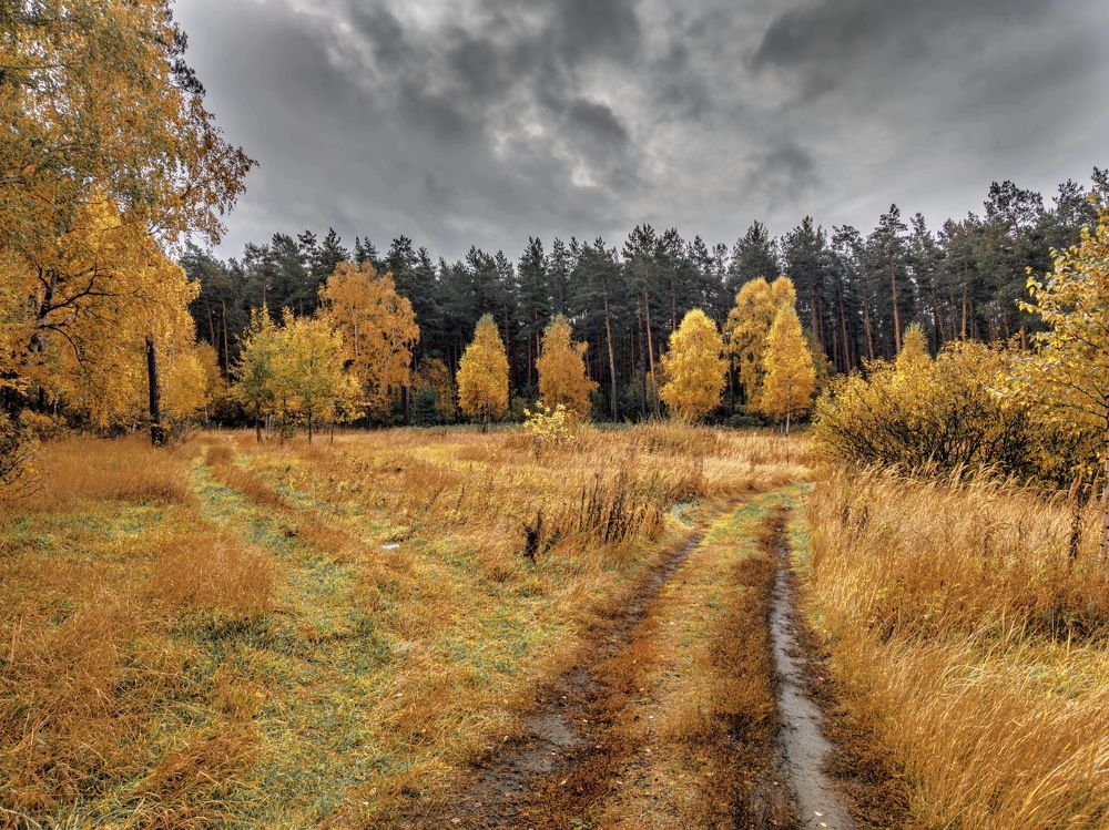 Photograph by Дмитрий Кузнецов