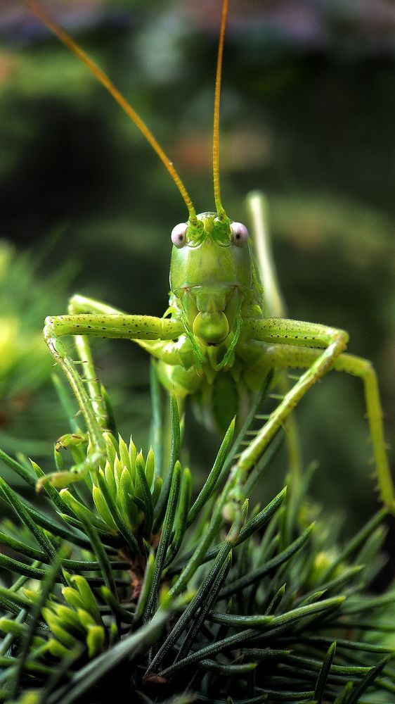 Photograph by Галина Ефремова