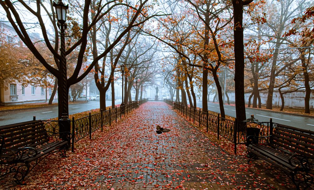 Photograph by Вячеслав Смеликов