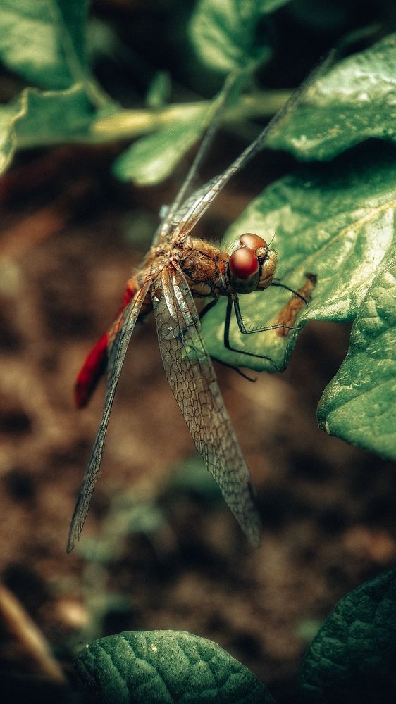 Photograph by Галина Ефремова