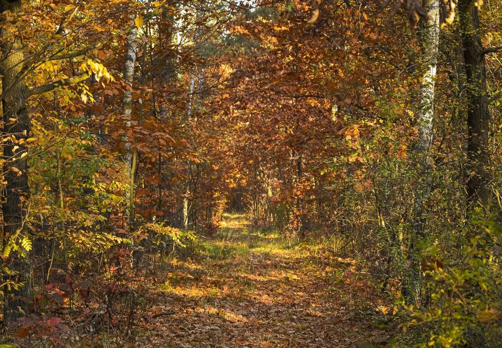 Photograph by Tomasz Szczesny