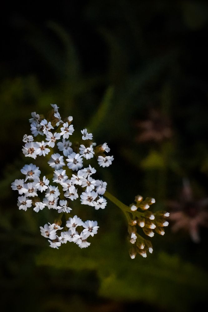 Photograph by Иван Кудряшов