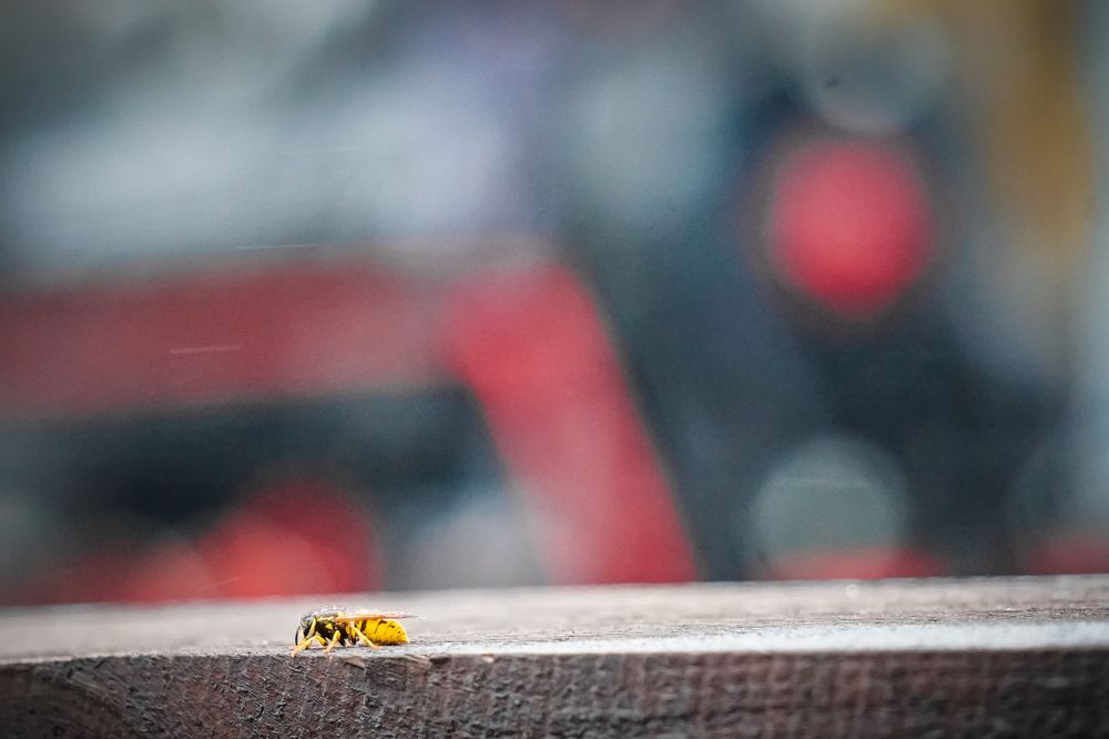 Photograph by Иван Кудряшов