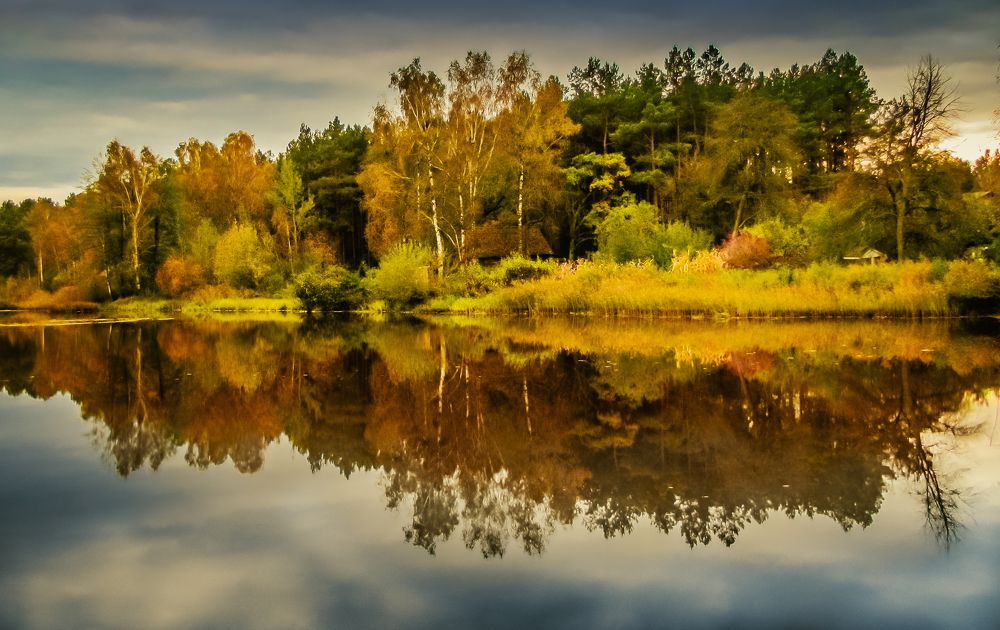 Photograph by Михаил Заброцкий