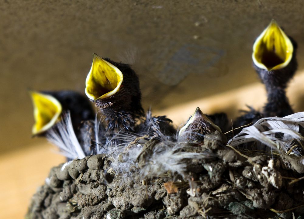 Фотография автора Андрій Лучишин