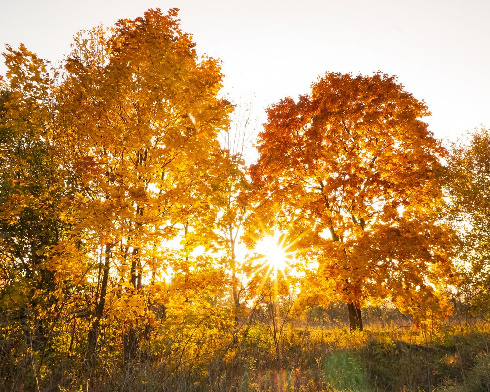 Photograph by Алеся Писнова