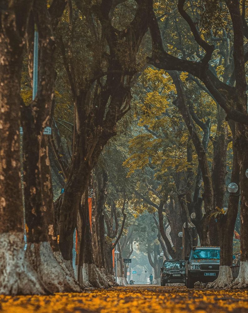 Фотография автора Đào Cảnh