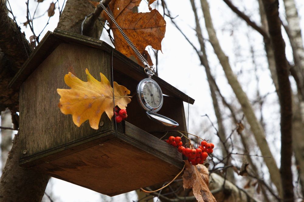 Обед заканчивается..!)