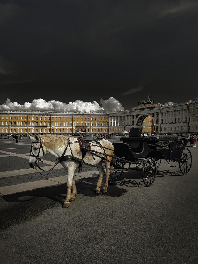 Photograph by Дарья Вега