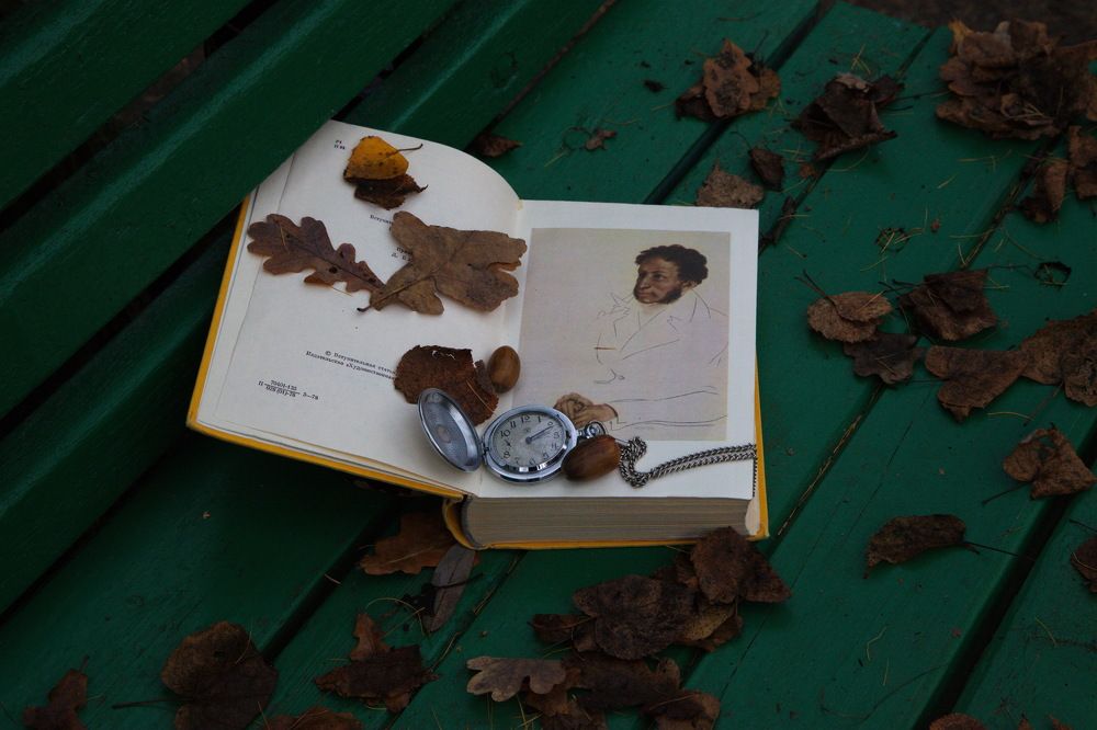 Унылая пора! Очей Очарованье! АС Пушкин