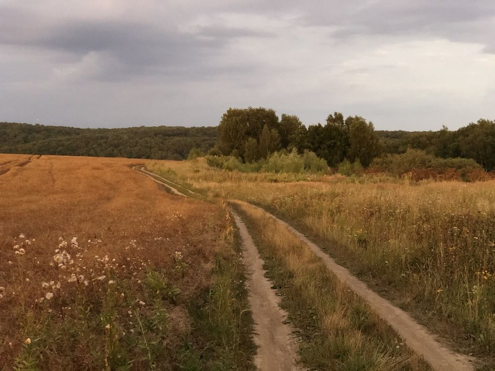 Photograph by Дмитрий