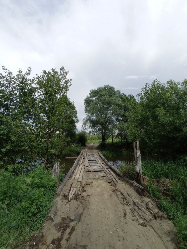 Фотография автора Ольга Савочкина