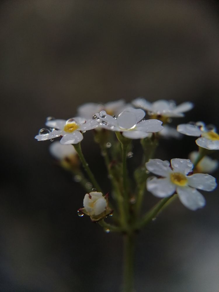 Photograph by Светлана