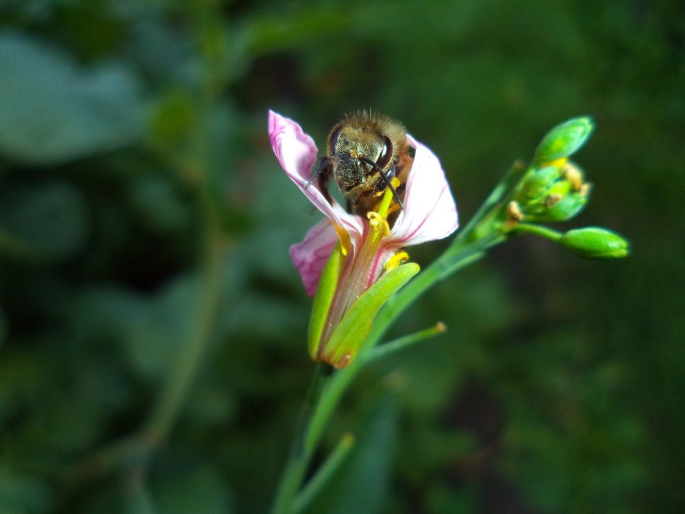Photograph by Анастасия Старикова