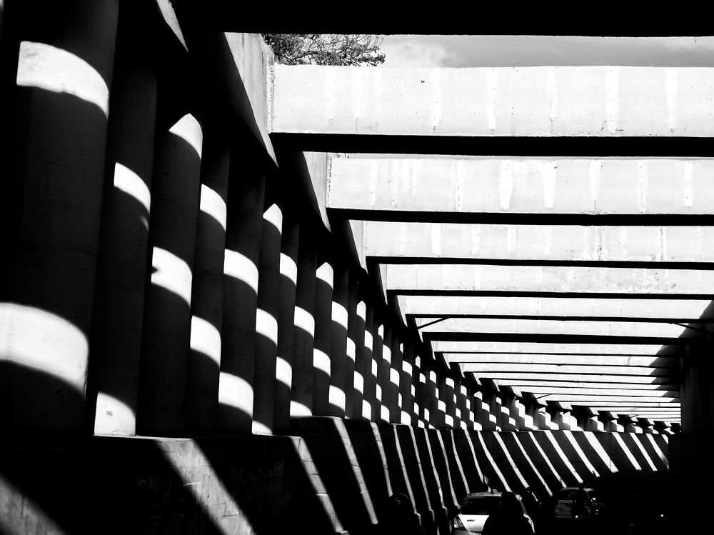 Photograph by dharmik rathod