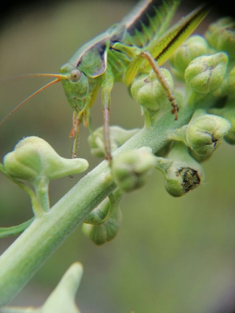 Photograph by Светлана