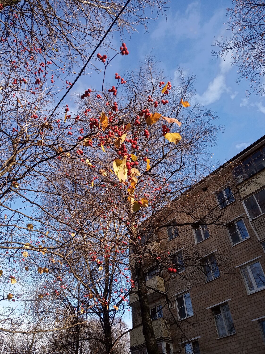 Photo #6653916