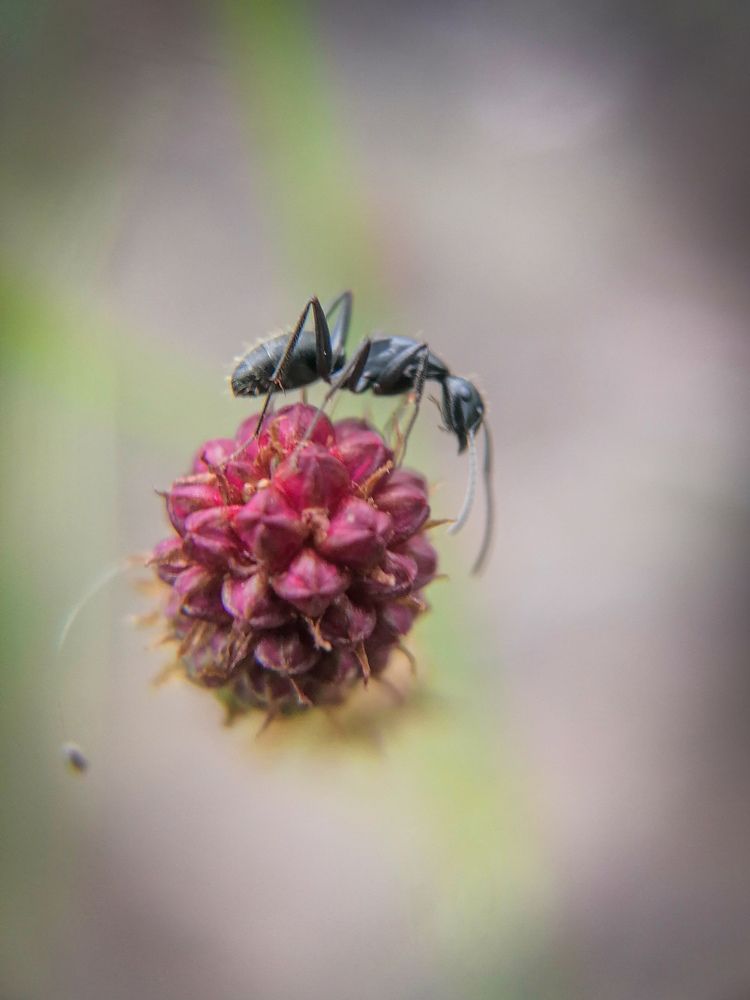 Photograph by Светлана