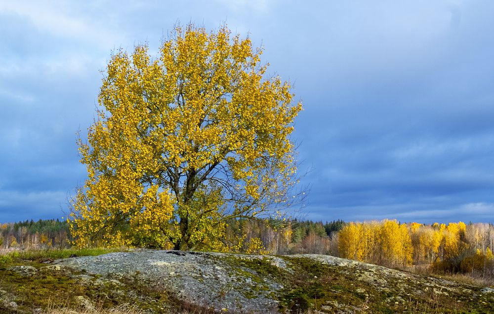 Photograph by Дмитрий Бутин