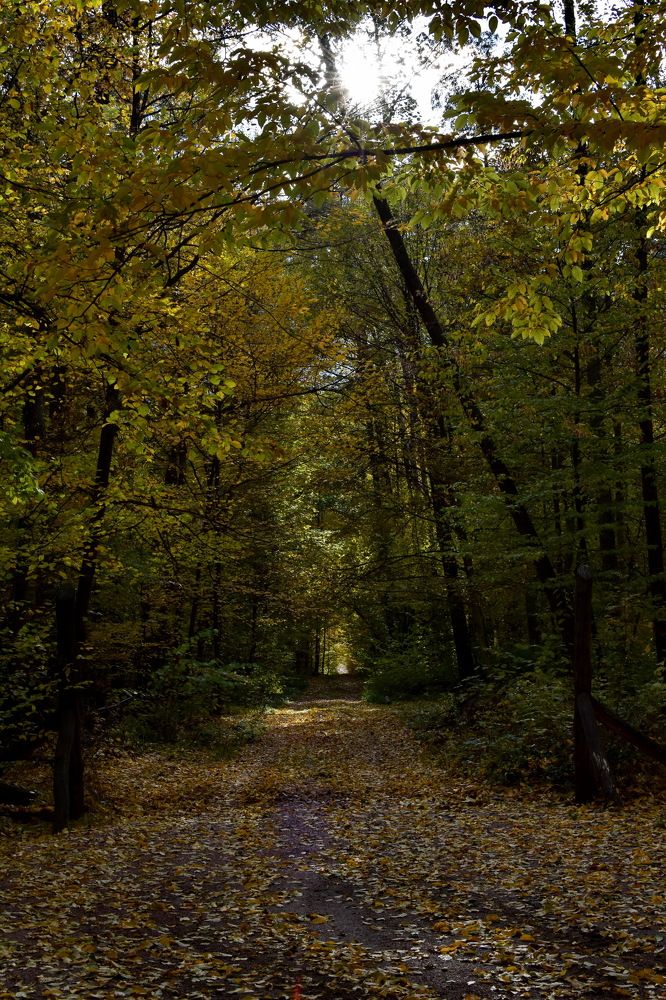 Photograph by Ольга