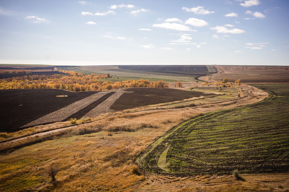 Photograph by Ольга Белопухова