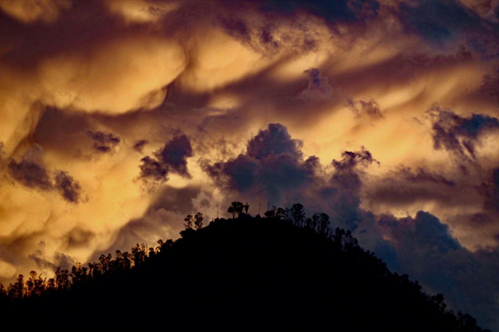 Photograph by Carlos Charly Brown