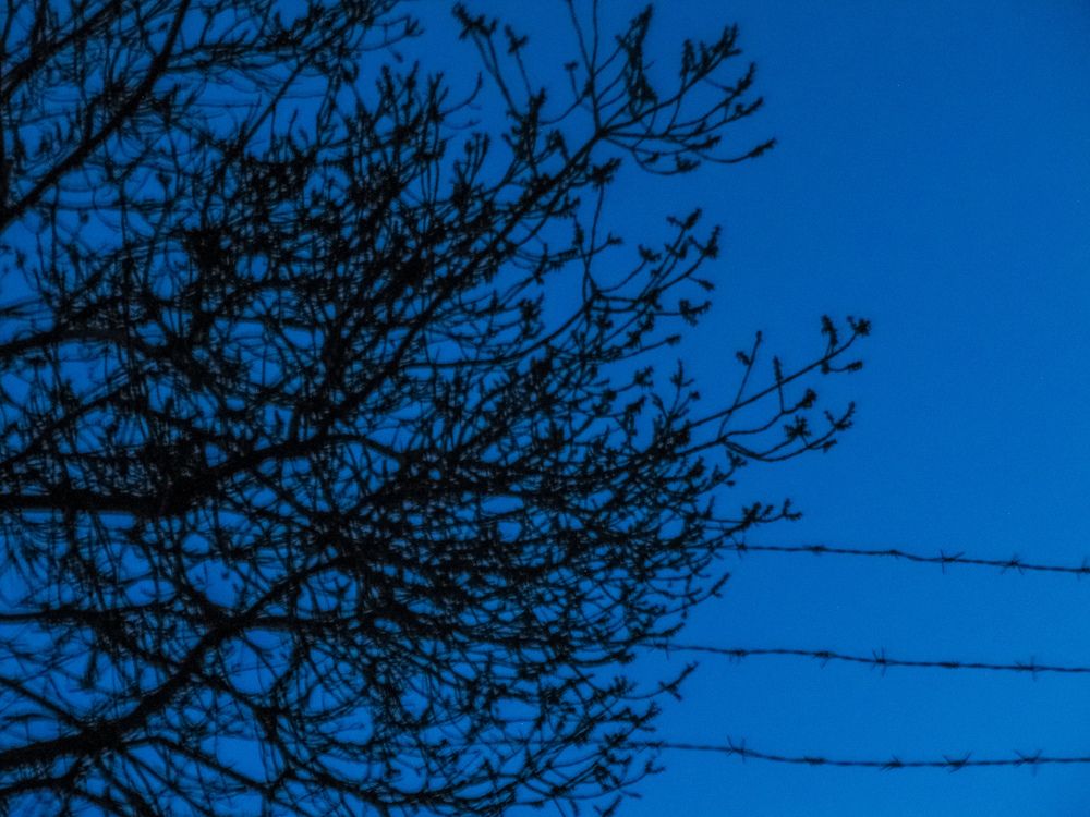 Photograph by farzad talanavard