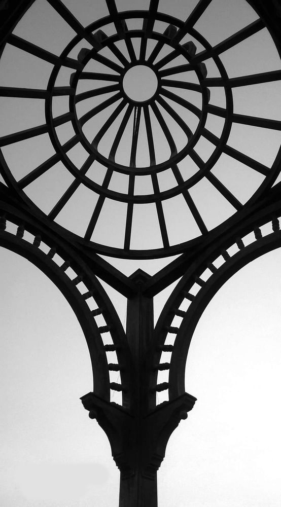 Photograph by Mohamed Haggag